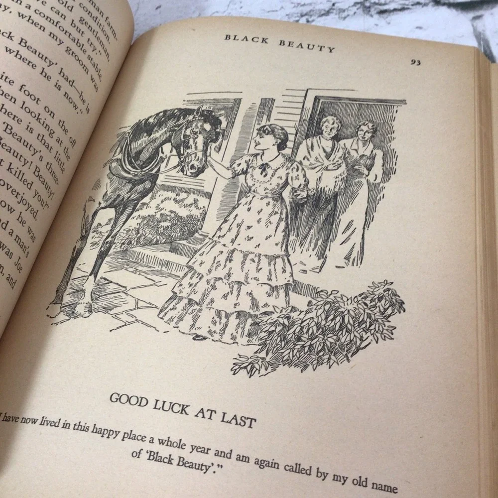 The Big Big‎ Story Book Black Beauty Heidi-Hans Brinker 1938 Vtg Whitman